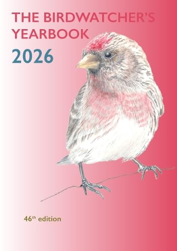 Yearbook cover with a watercolor painting of a small red bird.