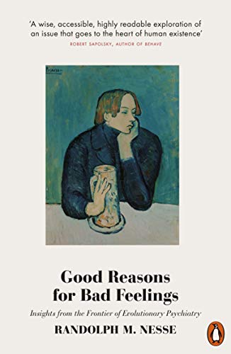 Book cover: painting of a pensive person, title “Good Reasons for Bad Feelings.”