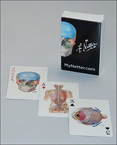 Anatomy-themed playing cards featuring detailed medical illustrations of the human body.