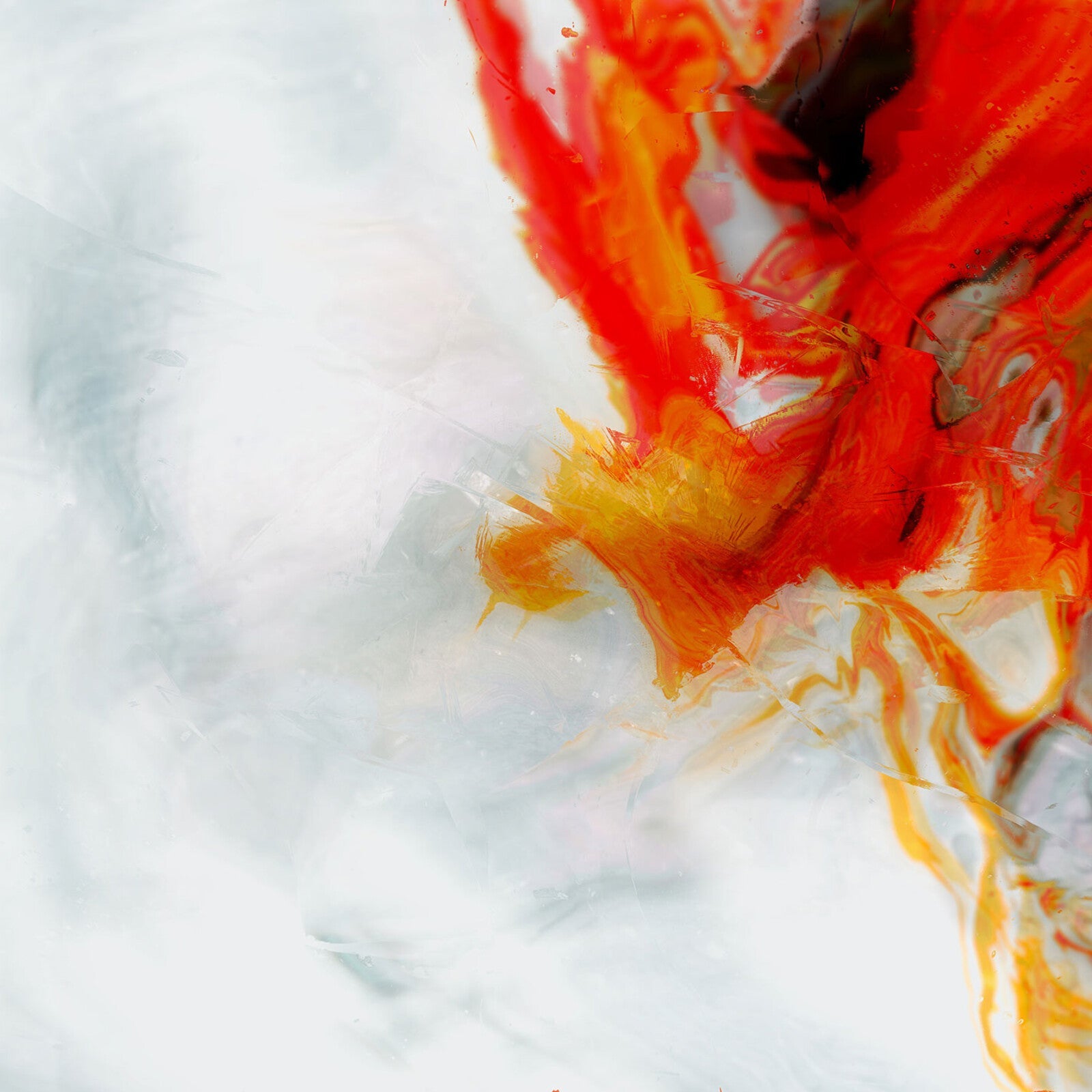 Abstract image featuring vibrant red and yellow paint swirls against a textured white background.