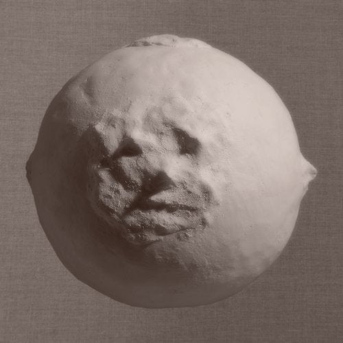 The image depicts a plaster cast of a human head. For accessibility purposes, a suitable alt text could be: "A white plaster cast of a human head on a grey background."