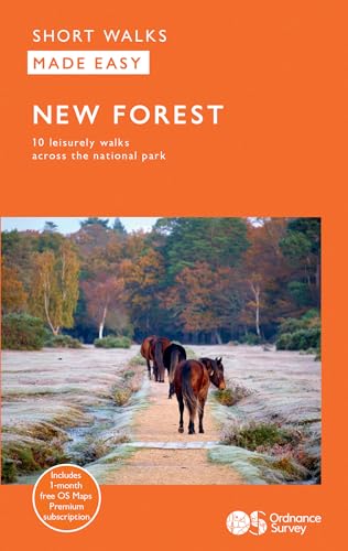 Book cover featuring horses on a path in New Forest National Park.
