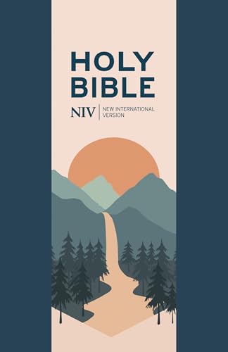 NIV Bible cover with mountain and sunset illustration.