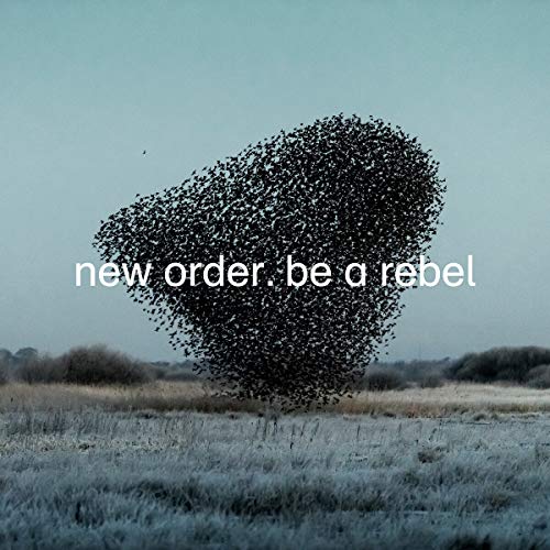 New Order "Be a Rebel" vinyl record cover with a flock of birds.