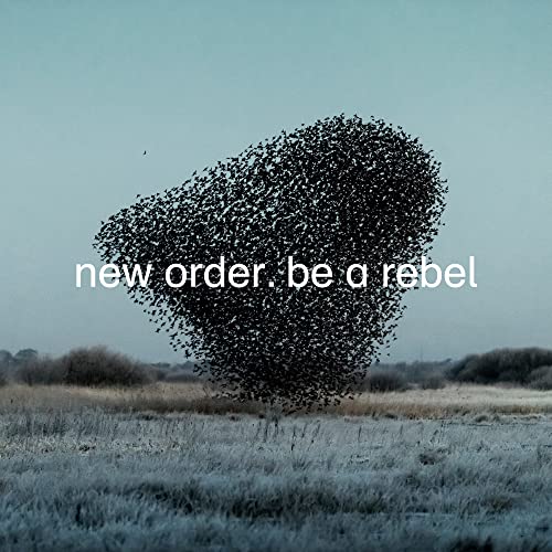 Album cover for New Order’s “Be A Rebel” featuring a flock of birds.