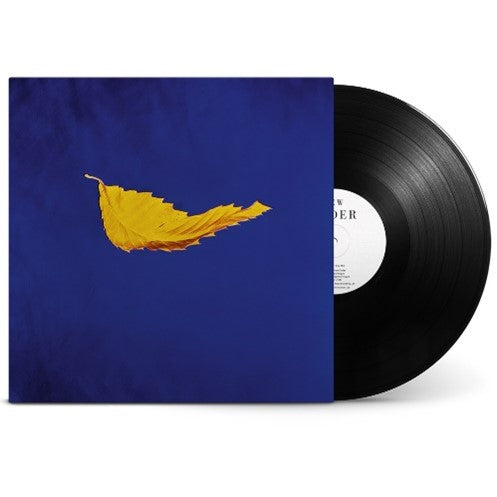 New Order’s “True Faith” vinyl record with blue cover and leaf image.