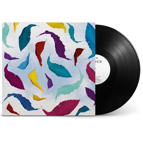 New Order vinyl record with colorful feather pattern album art.