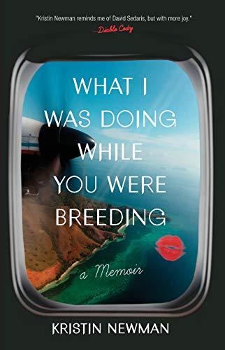Book cover with airplane window view, red lips, and title text.