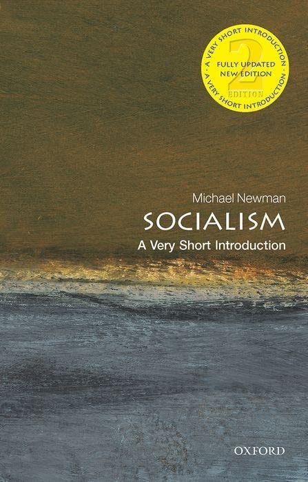 Book cover: “Socialism” by Michael Newman, with a wave background.
