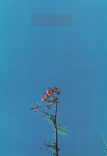 Album cover with a flowering branch against a bright blue sky.