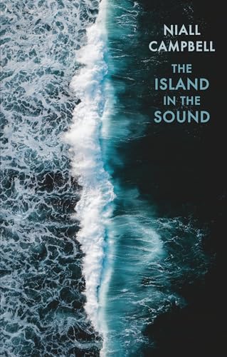 Book cover with aerial view of ocean waves and white text.