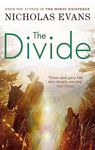 Book cover: cowboy on horseback silhouetted against a mountain landscape.