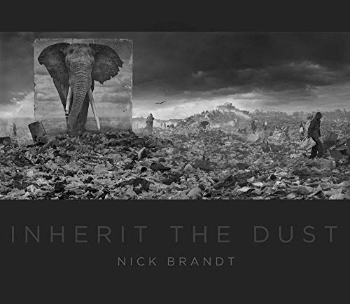 Black and white photograph of an elephant standing in a desolate landscape.