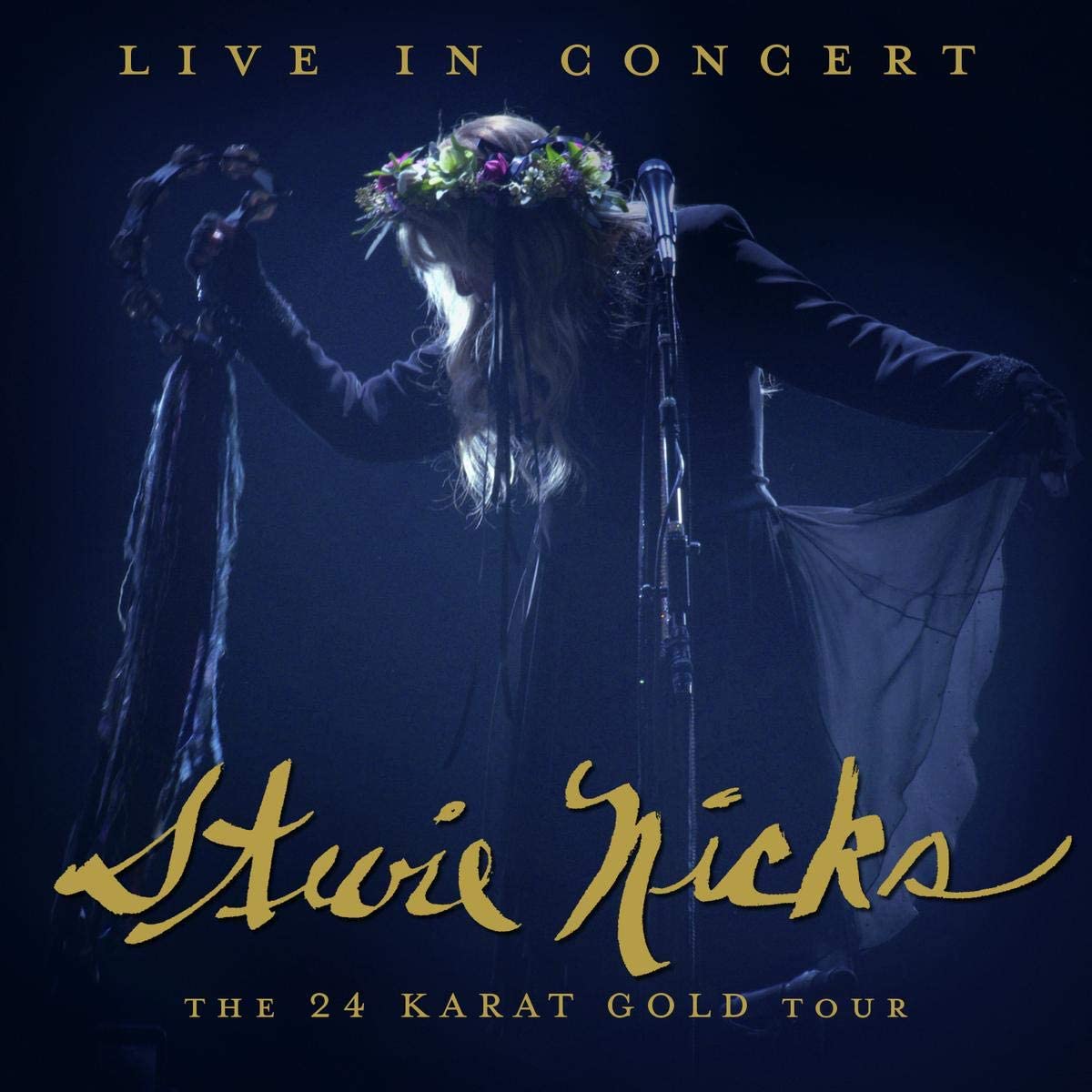 Stevie Nicks' album cover with her portrait, wearing a hat, in a gold-toned image.