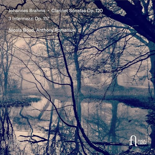CD cover for Brahms clarinet sonatas featuring a winter forest scene.