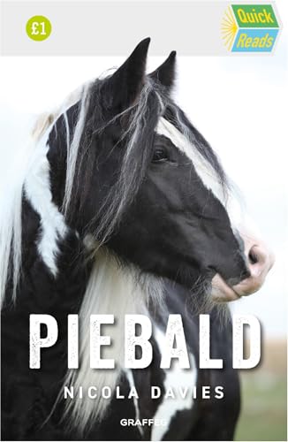 Close-up of a black and white piebald horse on a book cover.