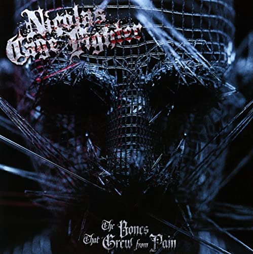 CD cover: dark, fractured skull image with band name "Nicolas Cage Fighter".