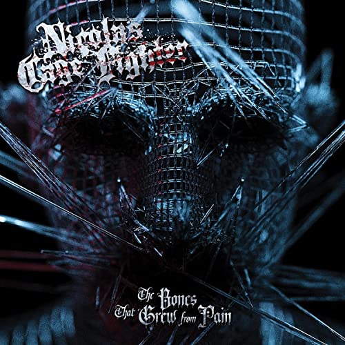 Skull formed from fractured glass with album title overlayed in red.