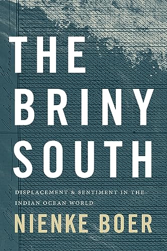 Book cover with title The Briny South over a textured blue background.