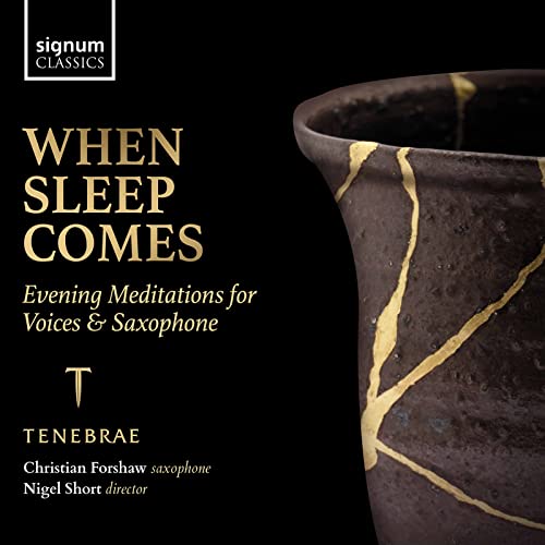 CD cover for "When Sleep Comes" featuring a kintsugi-repaired vase.