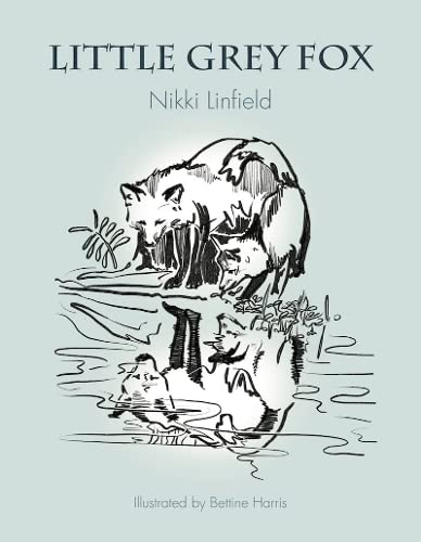 Book cover with sketched foxes and birds by a pond.