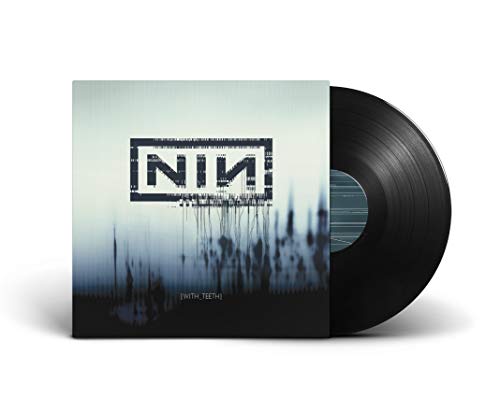 Nine Inch Nails "With Teeth" vinyl record with blurred landscape cover.