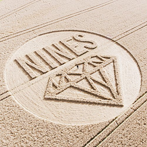 Crop circle design with the word "NINES" and a triangular symbol.