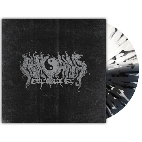 Nirvana vinyl record with black cover, yin-yang symbol, and marbled disc.