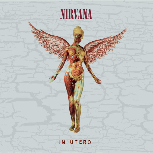 Nirvana In Utero album cover featuring an anatomical winged figure on a cracked background.