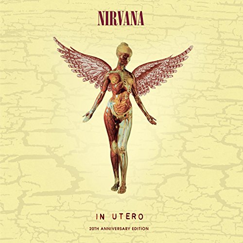 Nirvana's "In Utero" vinyl album cover featuring anatomical angel illustration.
