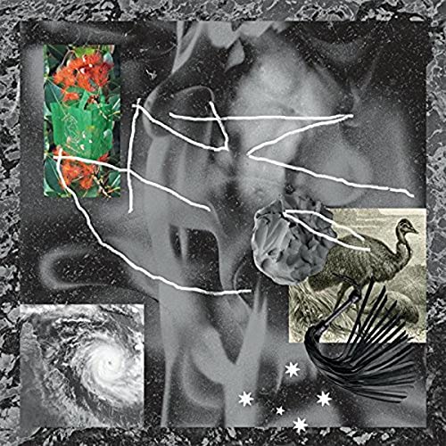 Abstract collage with an emu, a hurricane, red flowers, and white line drawings.
