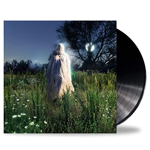 Noah Cyrus album cover with a lone figure in a field, vinyl record beside.