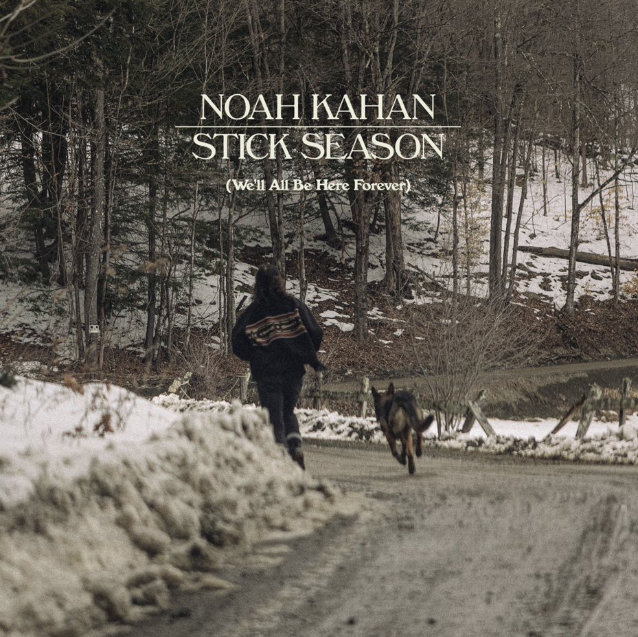 A person and a dog run down a snowy road in a forest.