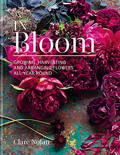 Book cover with dark pink and purple flowers, title “In Bloom”.