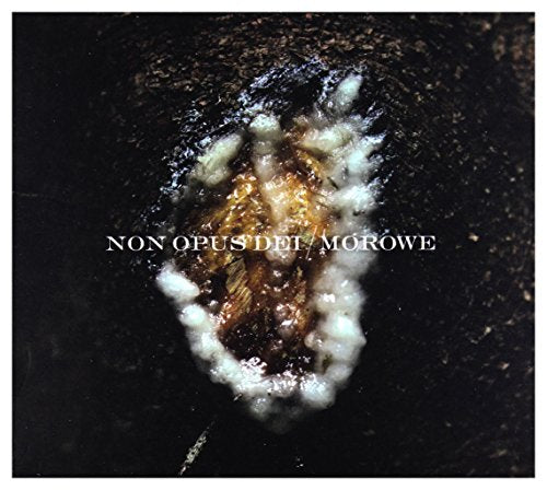 Music album cover with white text on a dark, abstract background image.