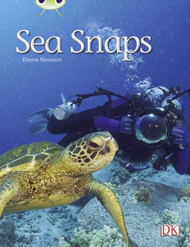 Book cover: diver photographing a sea turtle underwater.