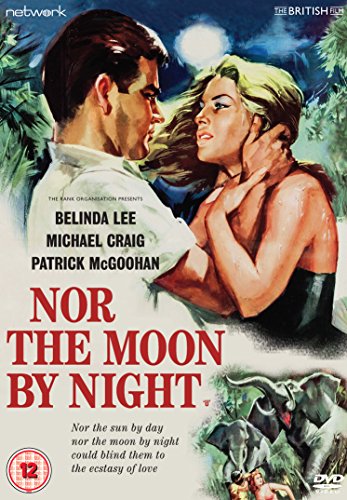Painted film poster showing a man and woman embracing under a moonlit sky.
