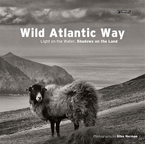 Black and white book cover featuring a sheep and coastal landscape.