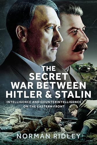 Book cover featuring portraits of Hitler and Stalin, with wartime imagery.
