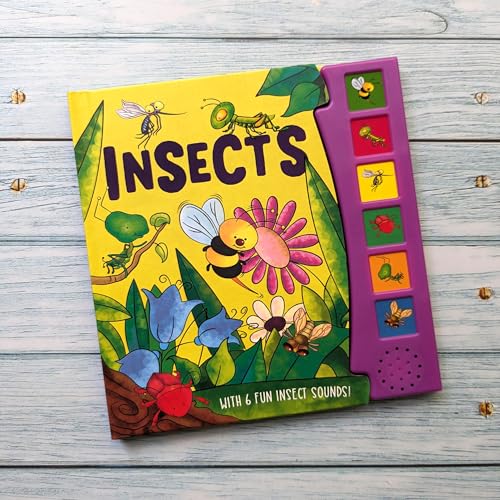 Colorful children’s book about insects with sound buttons on the side.