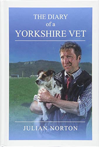 Book cover featuring a vet holding a small dog in a rural landscape.