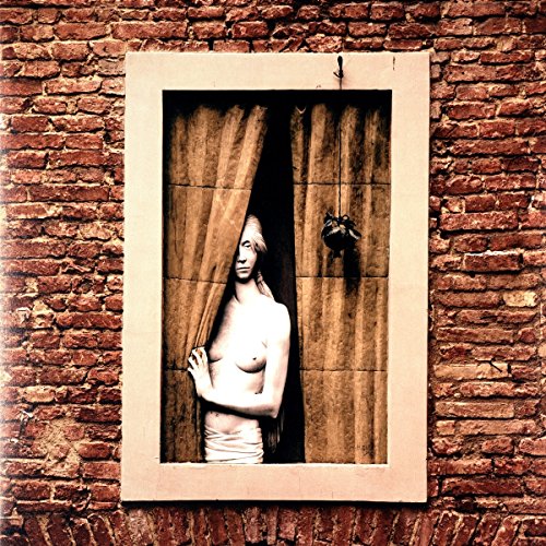 The image depicts a vinyl record cover featuring a statue in a window. #### Alt text: "Vinyl record cover with a statue of a woman peeking through a curtain."