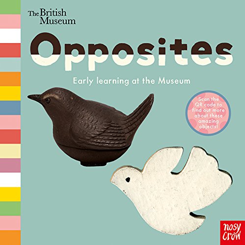 Book cover with dark and light bird sculptures, titled "Opposites".