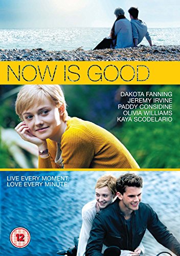 DVD cover for "Now Is Good" featuring Dakota Fanning and Jeremy Irvine.