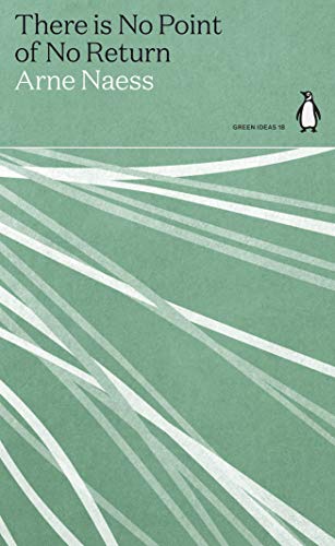 Book cover with sage green background, white diagonal lines, and black text title.