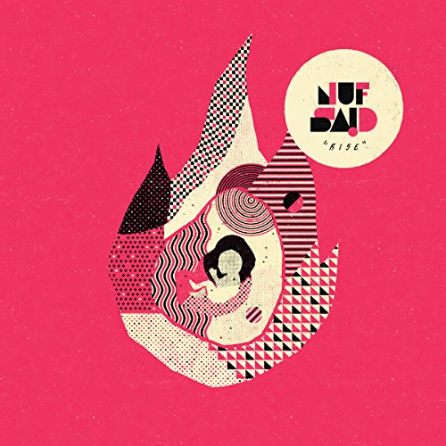Abstract flame-shaped graphic with patterns and a silhouette on a textured pink background.