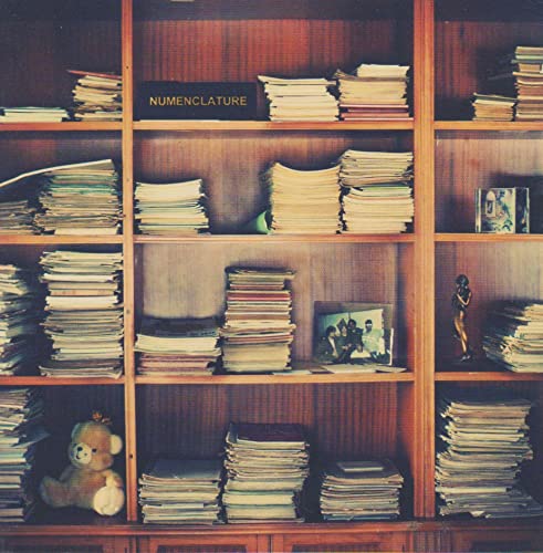 CD album “Numenclature” displayed amongst stacks of papers on wooden shelves.