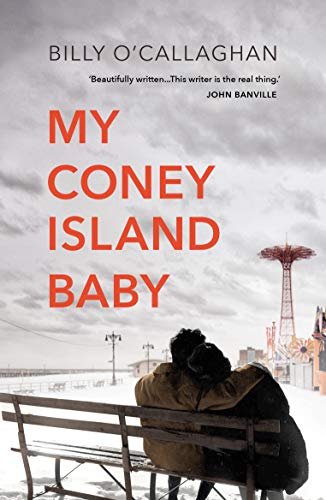 Book cover: couple on a bench with Coney Island in the background.