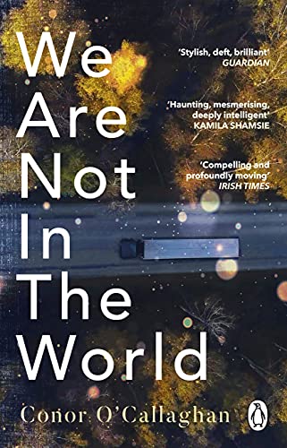 Book cover: "We Are Not in the World" with a dark, blurred road scene.