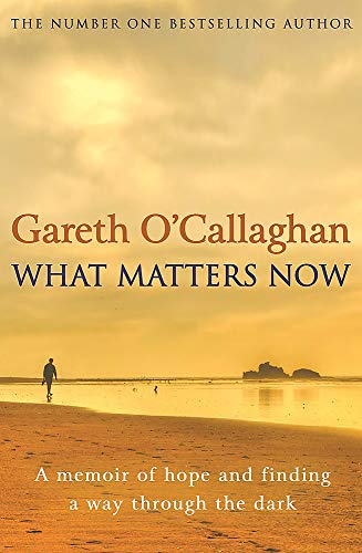 Book cover: “What Matters Now” with a lone figure on a beach.
